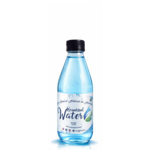 Agua Natural Beautiful Water 300ml (Vidrio) – Paca x15